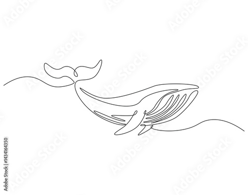 Continuous line drawing of blue whale. Single line illustration of blue whale swimming. Ocean mammal animal concept. Editable outline