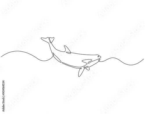 Continuous line drawing of orca whale. Single line illustration of killer whale. Predatory marine fish concept. Editable outline