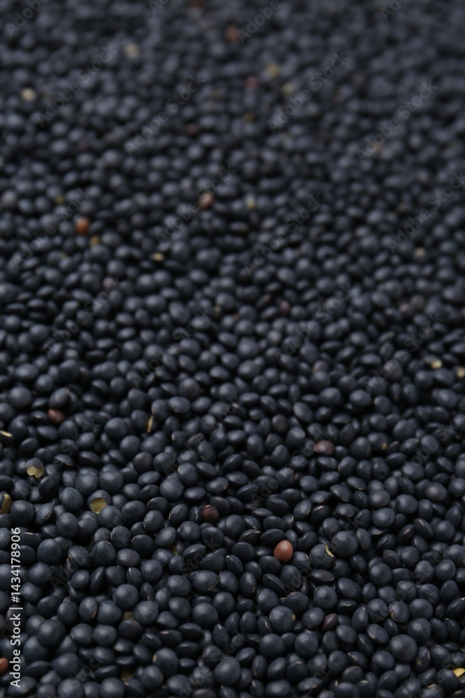 Raw black lentils as background, closeup view Raw black lentils as background, closeup view
