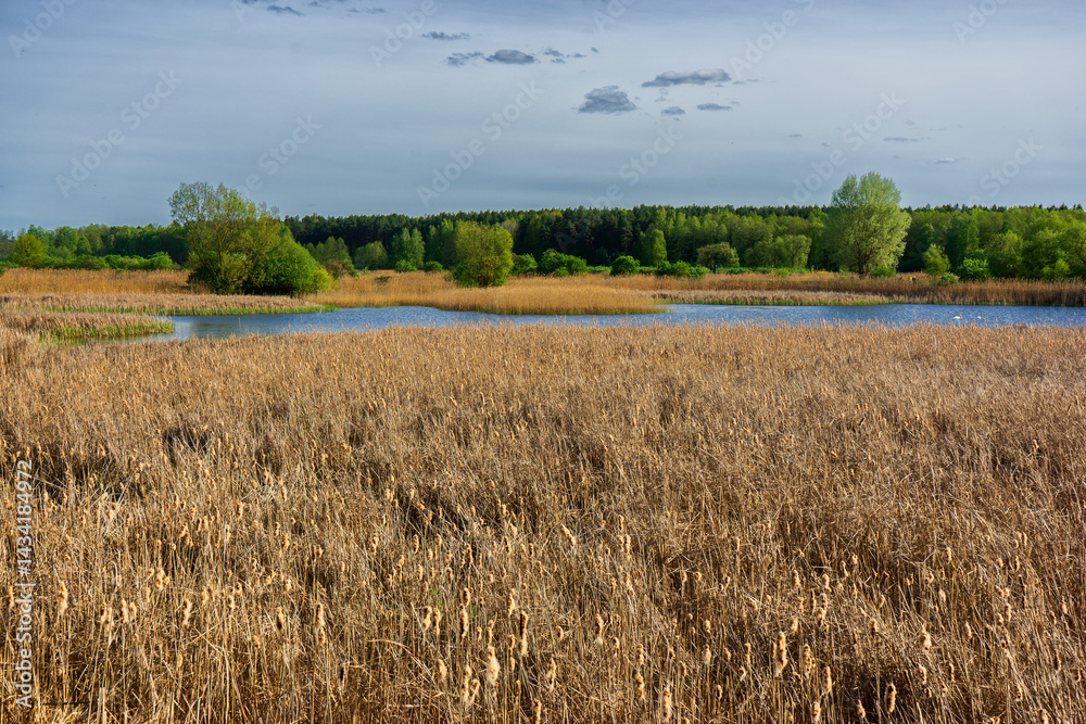 Wiosenny spacer w słońcu, Stawy Dolidzkie, Podlasie, Polska
