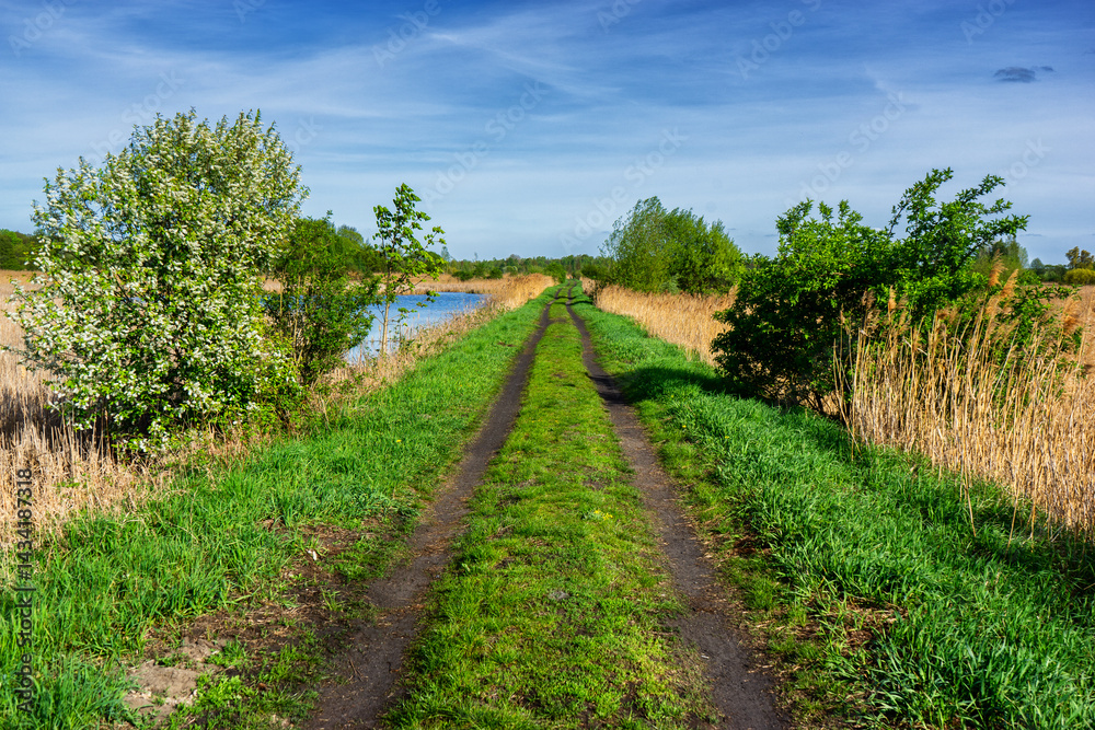 Wiosenny spacer w słońcu, Stawy Dolidzkie, Podlasie, Polska
