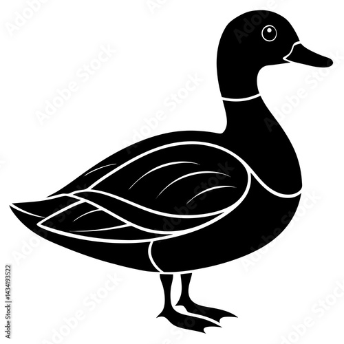 Animal Mallard silhouette vector illustrator