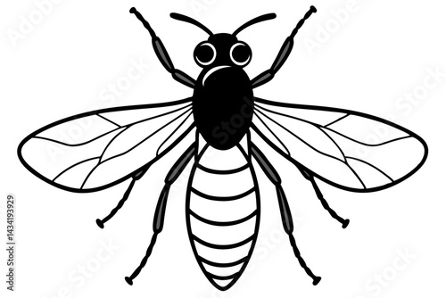 Detailed Bee Morphology - Insect Anatomy Vector v2