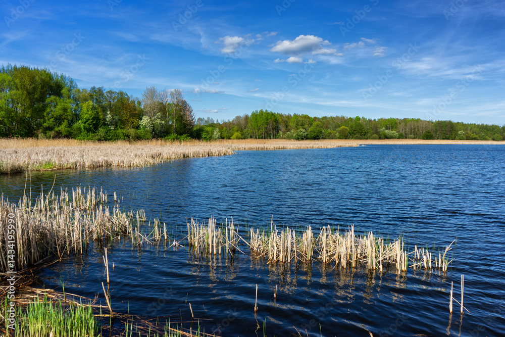 Wiosenny spacer w słońcu, Stawy Dolidzkie, Podlasie, Polska