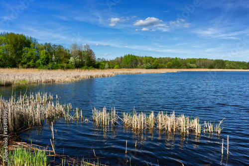 Wiosenny spacer w słońcu, Stawy Dolidzkie, Podlasie, Polska
