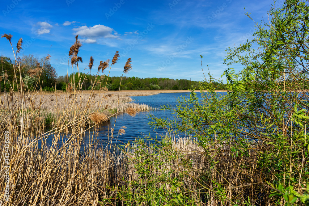 Wiosenny spacer w słońcu, Stawy Dolidzkie, Podlasie, Polska