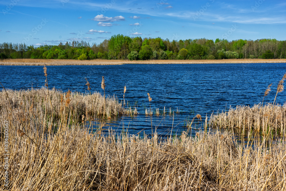 Wiosenny spacer w słońcu, Stawy Dolidzkie, Podlasie, Polska