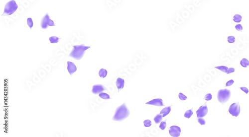Rose petals purple color flying wind swirl line. Realistic flower petal season