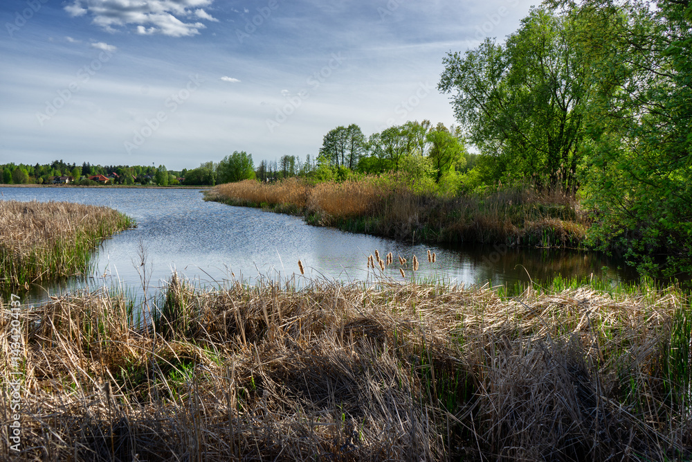 Wiosenny spacer w słońcu, Stawy Dolidzkie, Podlasie, Polska