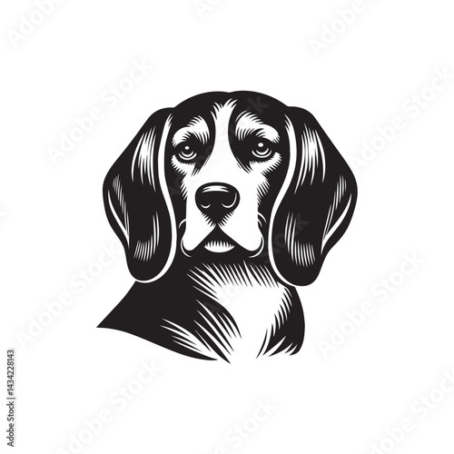vector illustration of a dog