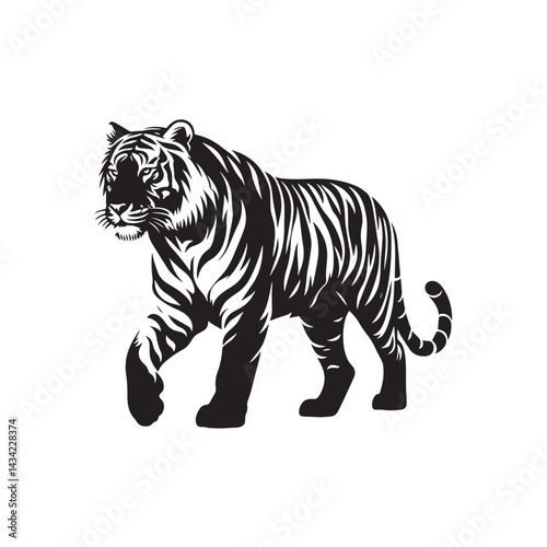 tiger isolated on white background