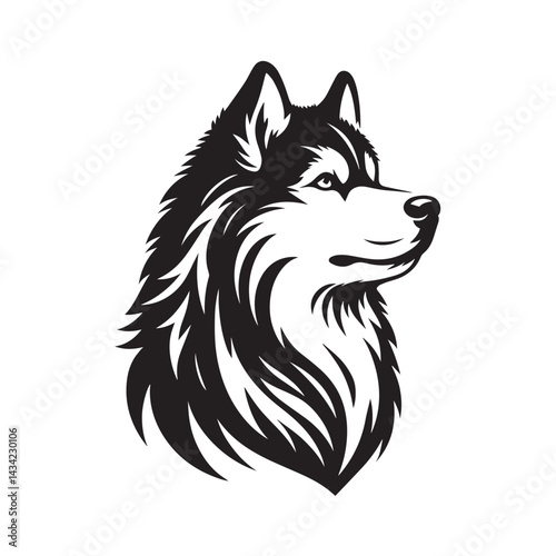 vector illustration of a wolf