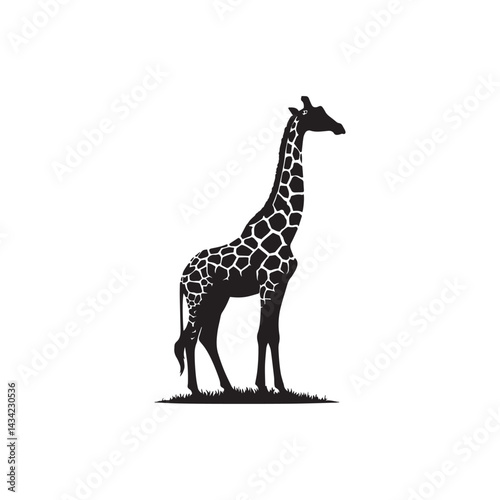 giraffe vector illustration
