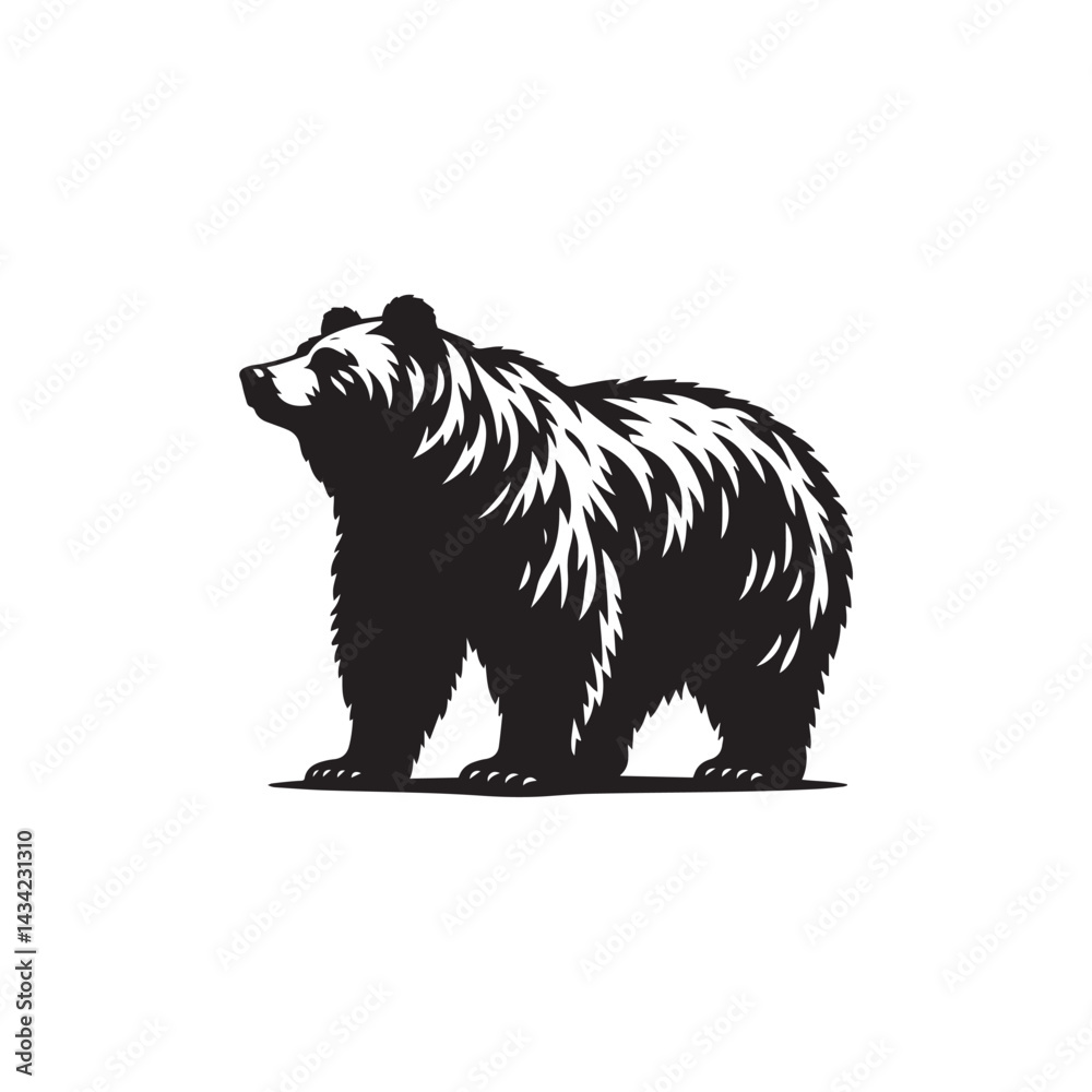 Obraz premium brown bear vector illustration
