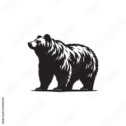 brown bear vector illustration