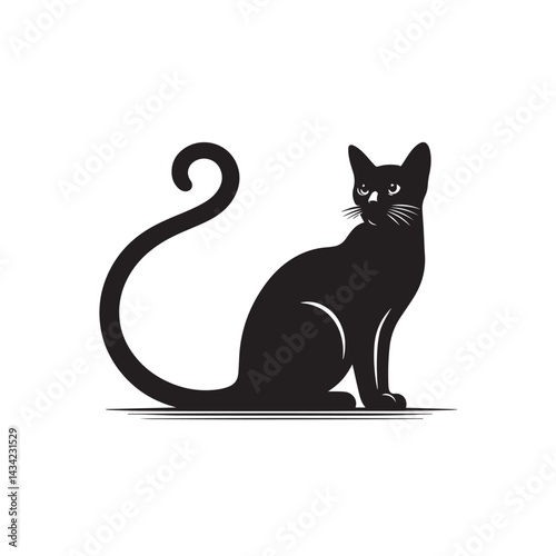 black cat on white background
