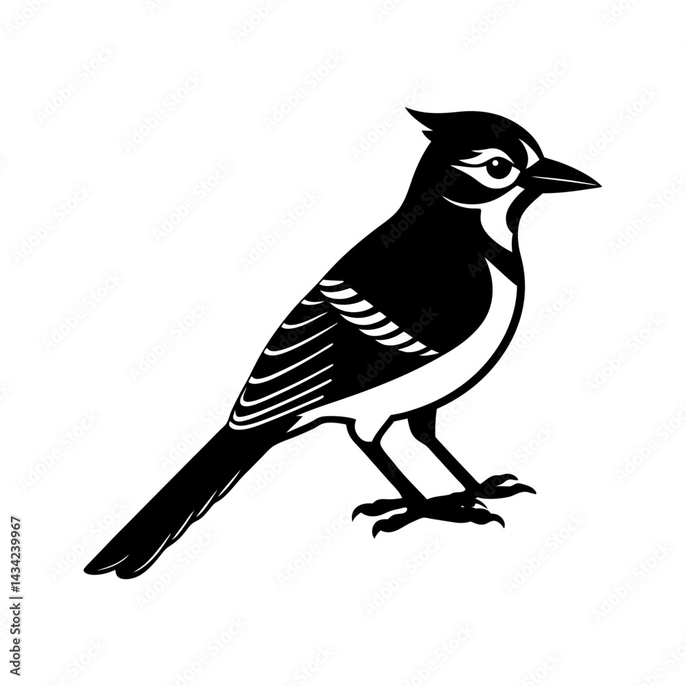 Obraz premium Blue Jay Silhouette vector illustration