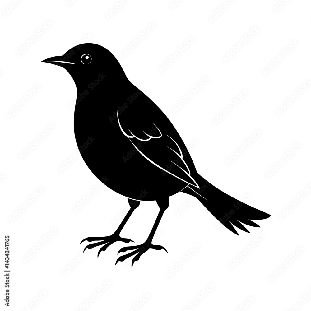Fototapeta premium Blackbird Silhouette vector illustration
