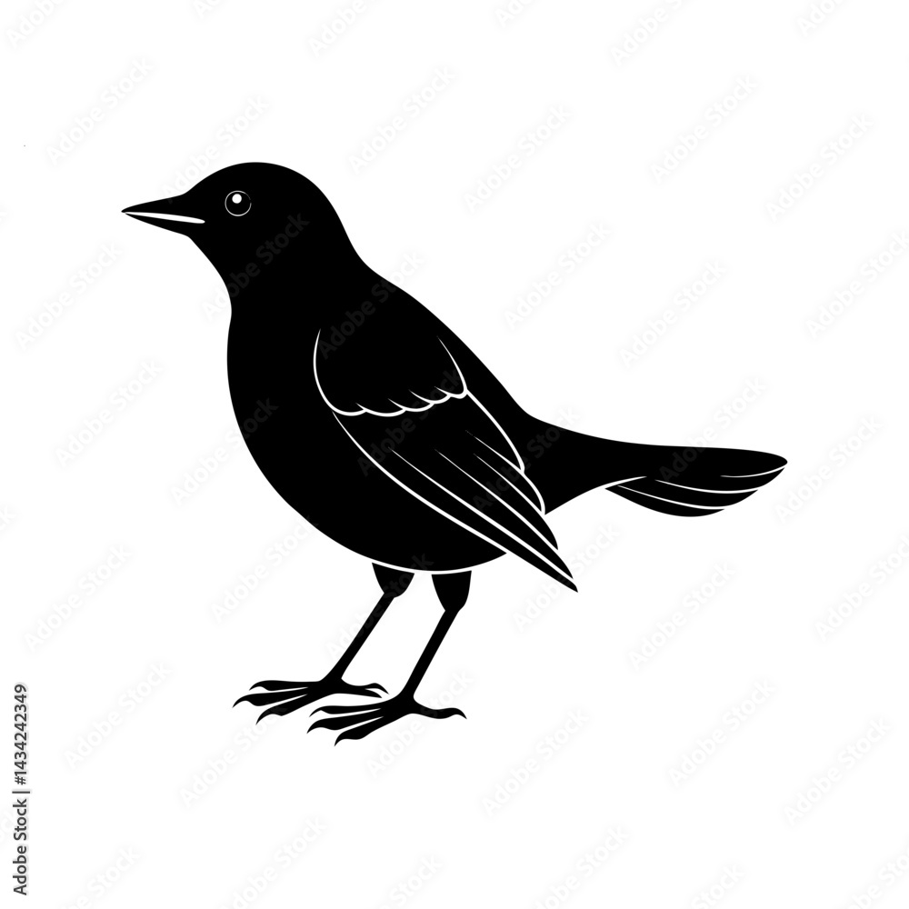 Obraz premium Blackbird Silhouette vector illustration