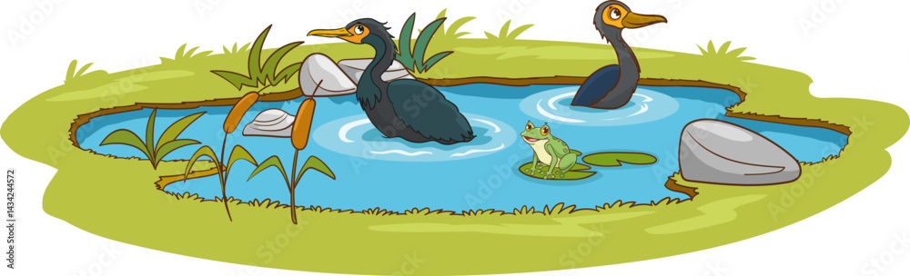 Fototapeta premium Vector illustration of cormorants and frog in the pond