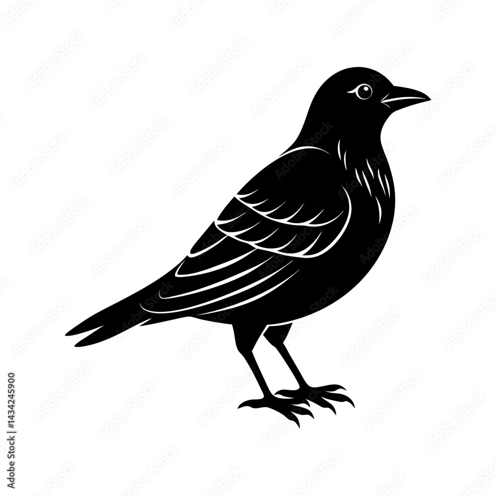 Obraz premium Bird Silhouette vector illustration