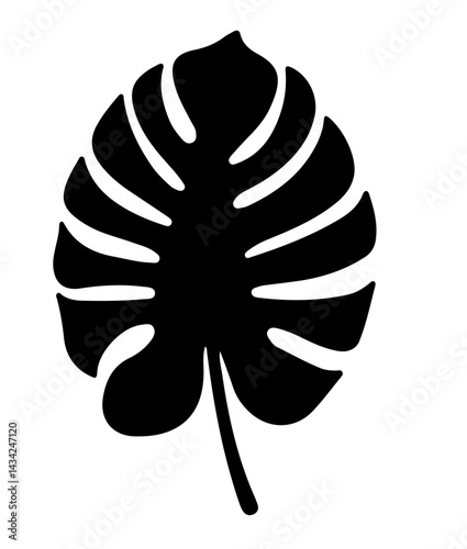 mosntera leaf svg vector 