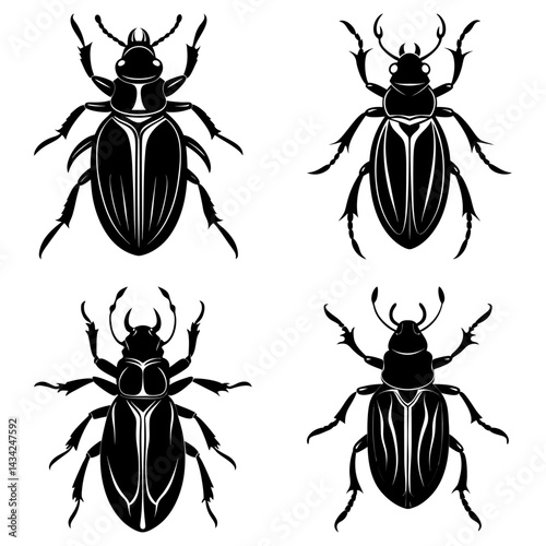 Beetle Silhouette vector illustration
