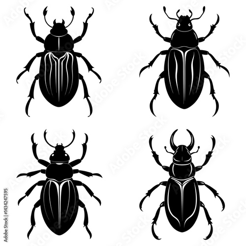 Beetle Silhouette vector illustration