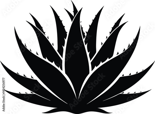Aloe Vera Vector Silhouette, Agave plant vector, agave symbol
