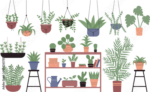 Trees in a pot, home plant vector illustration flowers and plants colorful pattern art illustration