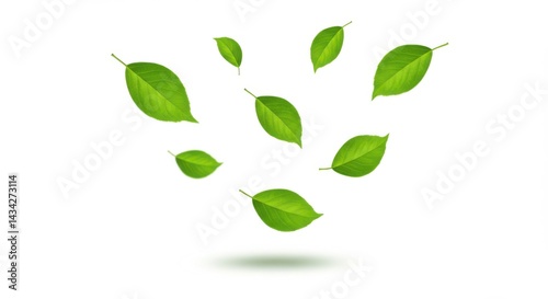 Wallpaper Mural Floating green leaves isolated on white background Torontodigital.ca