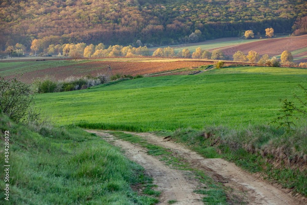Beautiful rural landscape from the Republic of Moldova. Village life in spring.