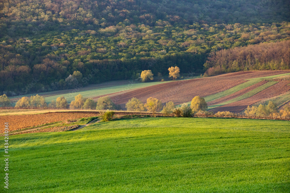Beautiful rural landscape from the Republic of Moldova. Village life in spring.