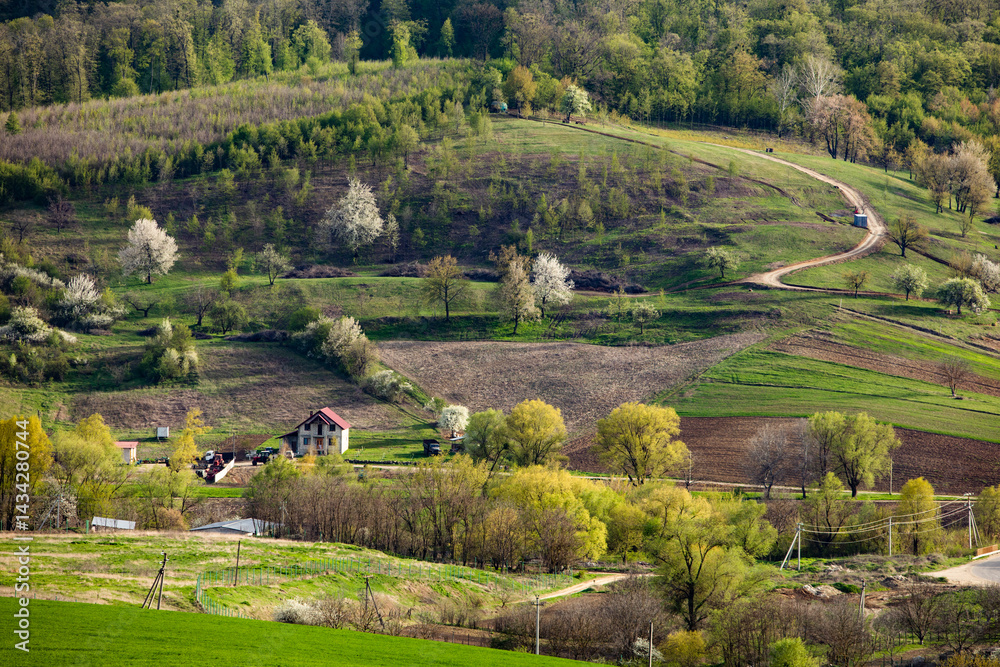 Beautiful rural landscape from the Republic of Moldova. Village life in spring.