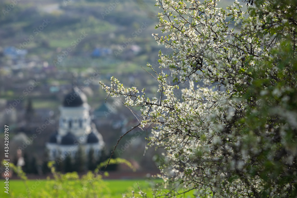 Beautiful rural landscape from the Republic of Moldova. Village life in spring.