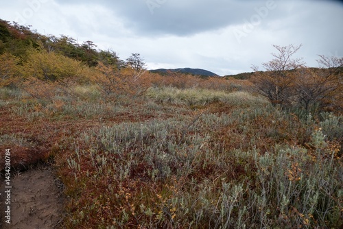 beautiful amazing patagonia nature in south america
