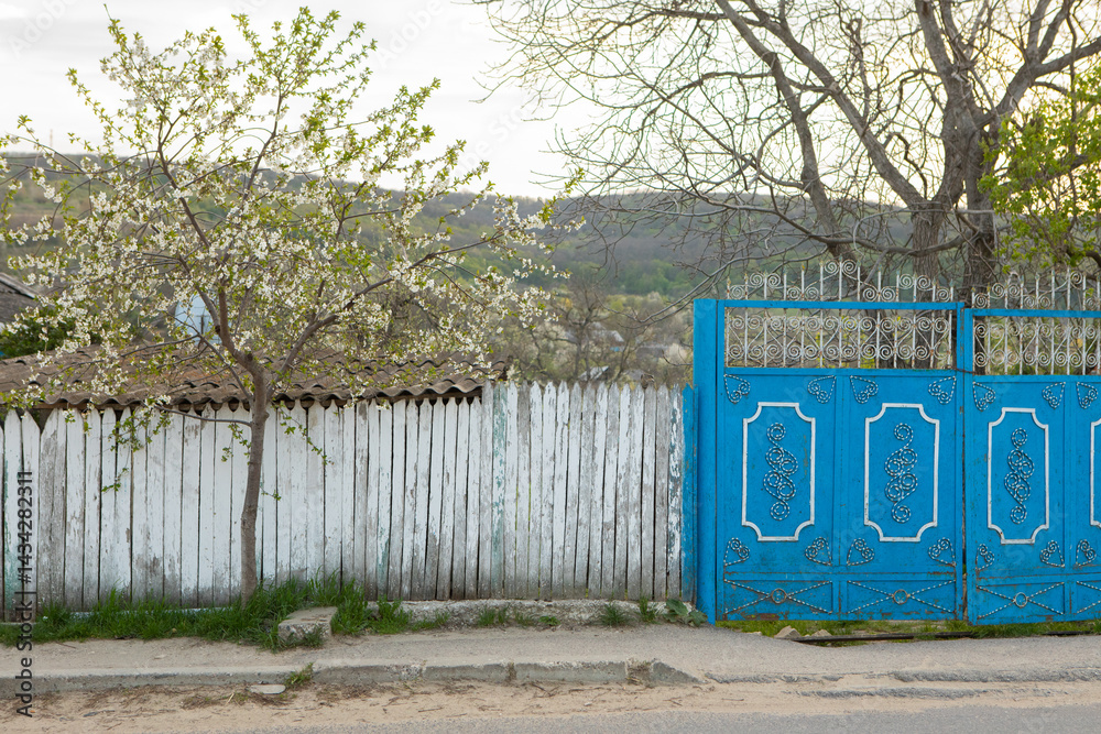 Beautiful rural landscape from the Republic of Moldova. Village life in spring.