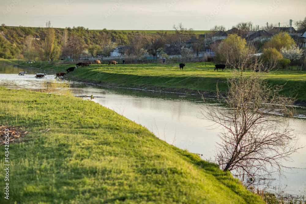 Beautiful rural landscape from the Republic of Moldova. Village life in spring.