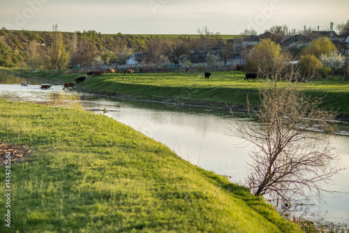 Obraz na płótnie Beautiful rural landscape from the Republic of Moldova. Village life in spring. w salonie