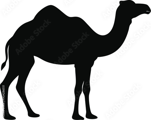 Silhouette of a Camel - Symbol of the Desert and Resilience
