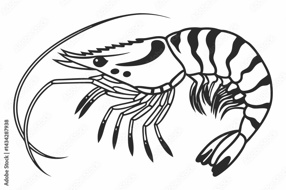 vector illustration of shrimp vector illustration of shrimp