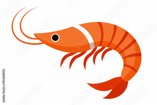 vector illustration of a shrimp