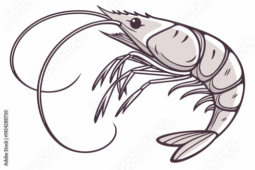 vector illustration of a fish