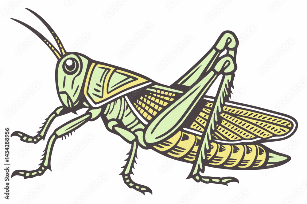 Fototapeta premium grasshopper sitting on a white background