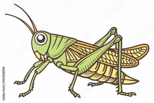 grasshopper on a white background