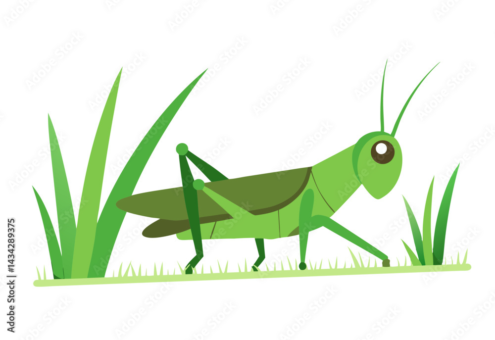 Fototapeta premium grasshopper on a leaf
