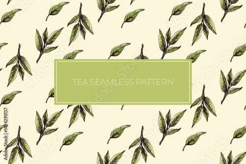 Leaf green tea seamless pattern drawing with copy space