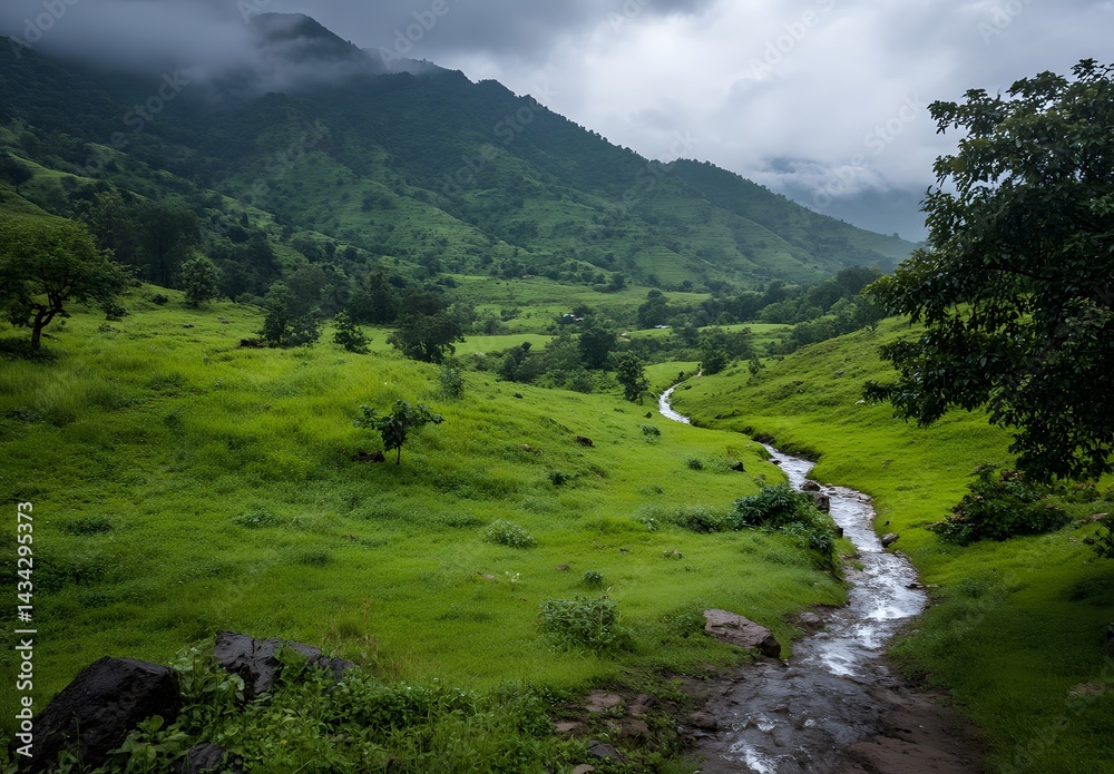 Obraz premium Lush Green Valley with Stream, Moody Atmospheric Landscape for Travel Blog