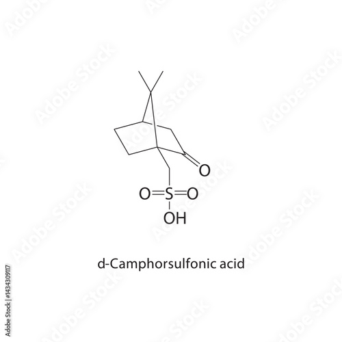 (±)-Camphoric acid skeletal structure. Dicarboxylic acid compound schematic illustration. Simple diagram, chemical formula.