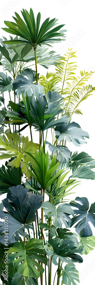 green tropical plants white background